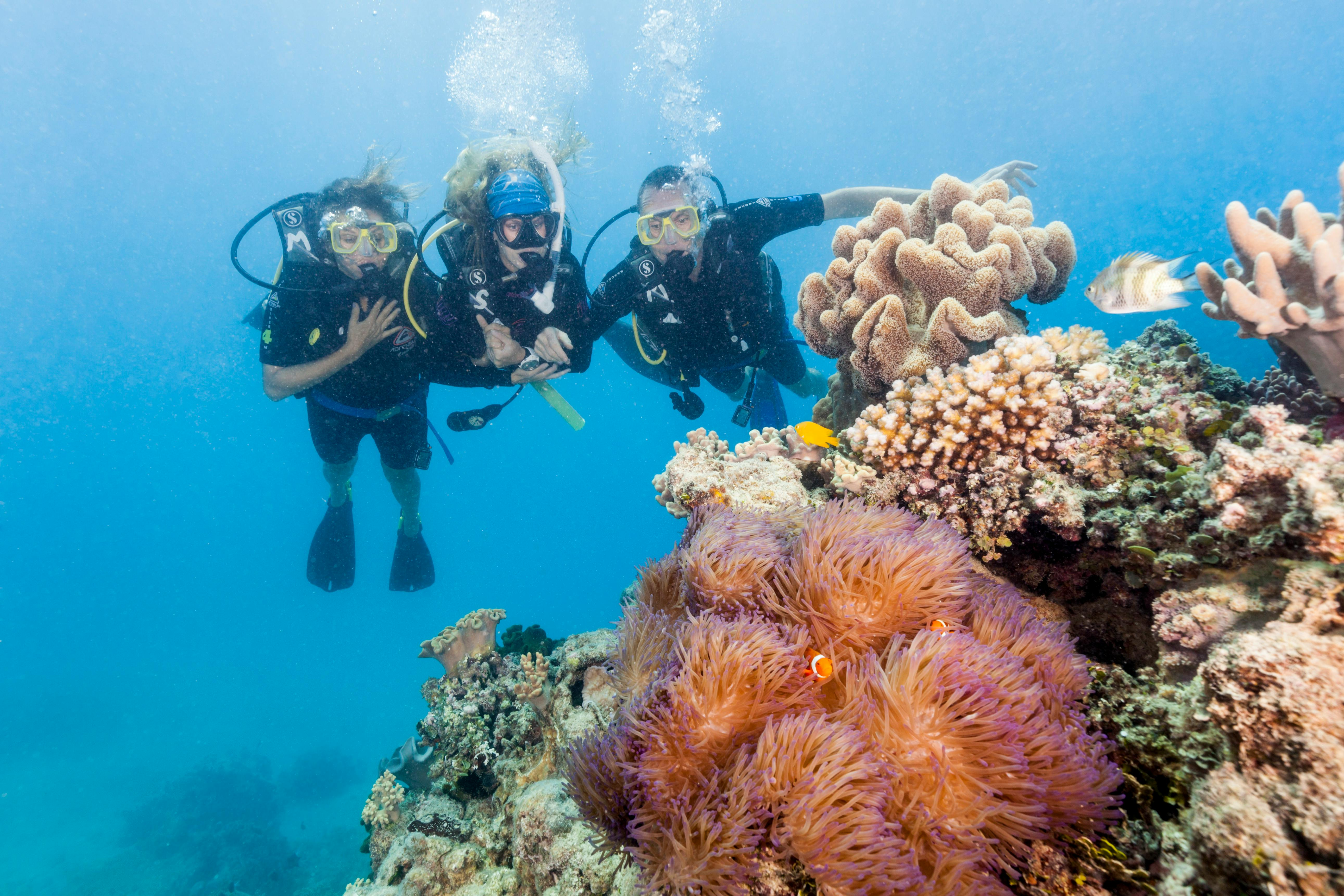 Great Barrier Reef: Guided Boat Tour from Cairns + Snorkelling + Lunch - Photo 1 of 14