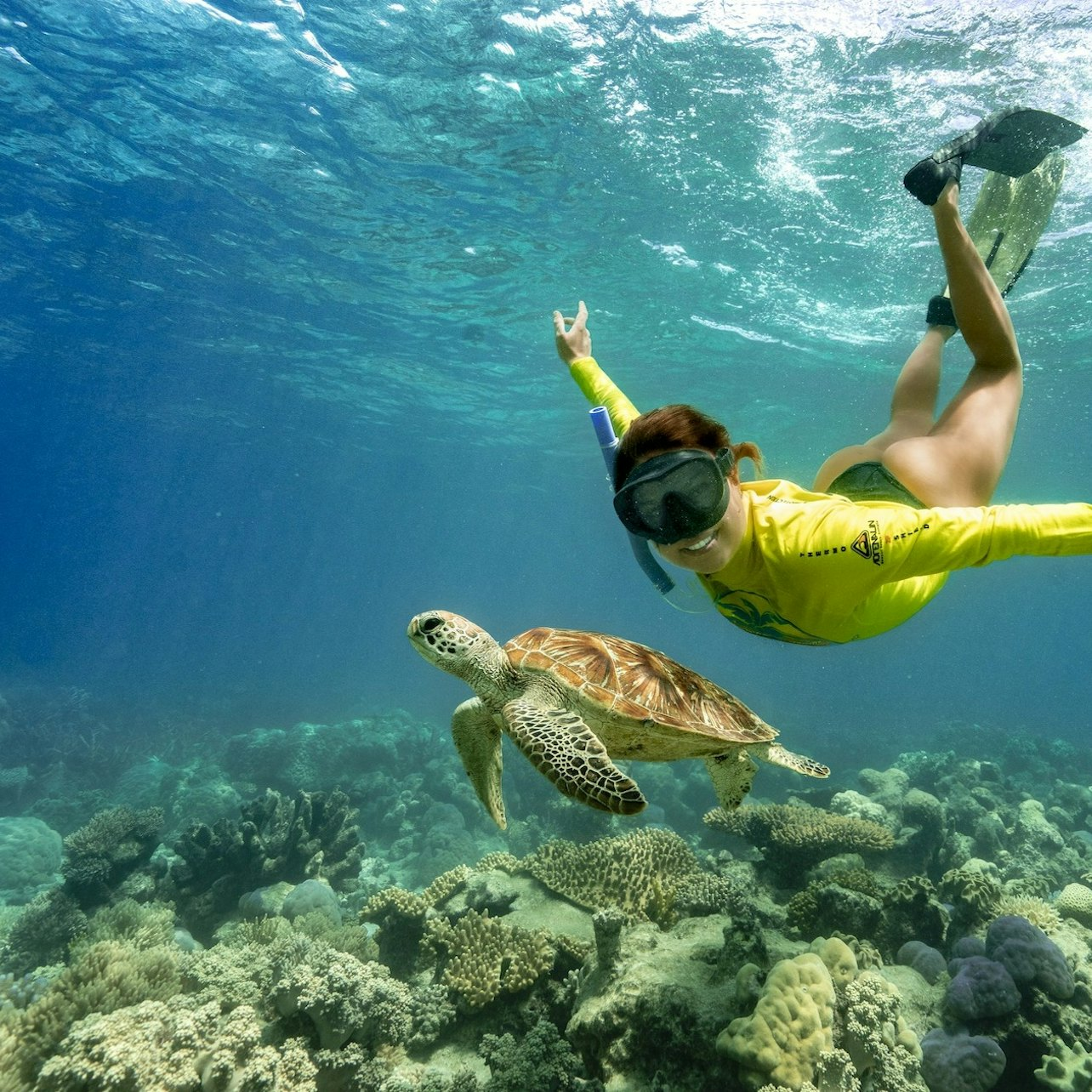 Snorkel alongside graceful turtles and explore the diverse marine life among the corals of the Great Barrier Reef creating unforgettable memories in the stunning Coral Sea.
