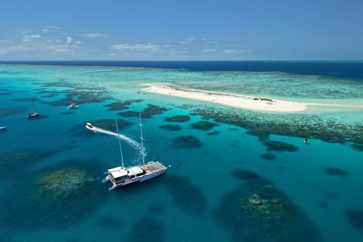 Great Barrier Reef & Michaelmas Cay Sailing Cruise from Cairns - Photo 1 of 10
