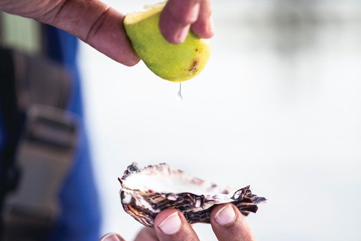 One-Way East Coaster - Photo 1 of 6