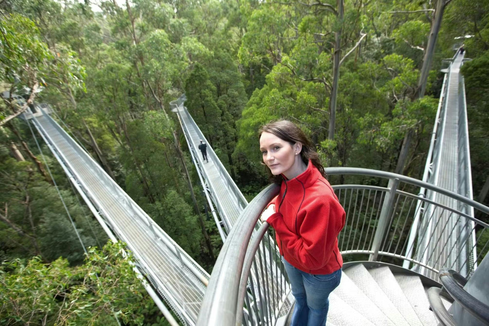 Otway Fly Treetop Adventures: Treetop Walk - Photo 1 of 8