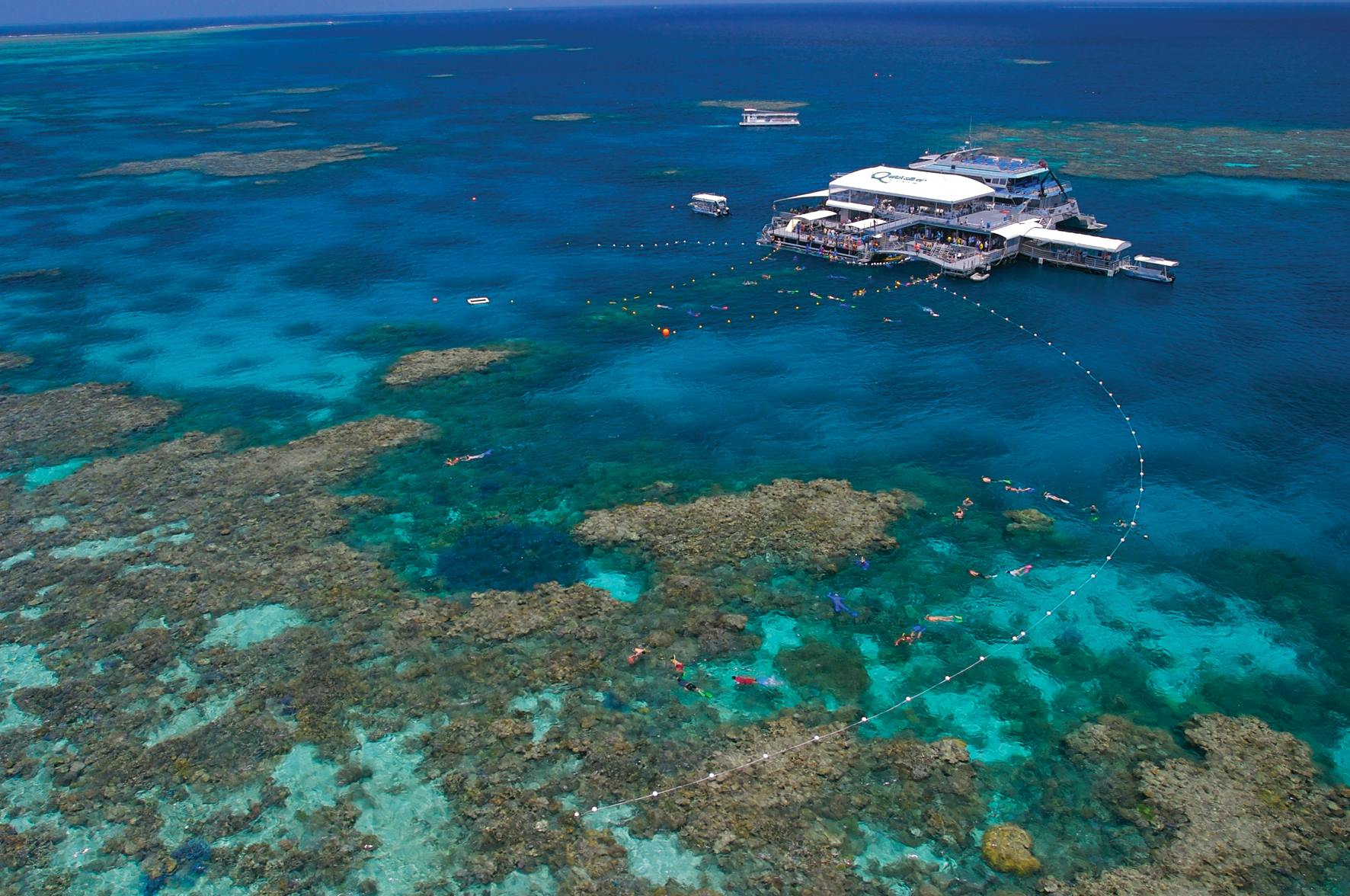 Outer Great Barrier Reef: Boat Tour from Port Douglas + Activities + Lunch - Photo 1 of 8