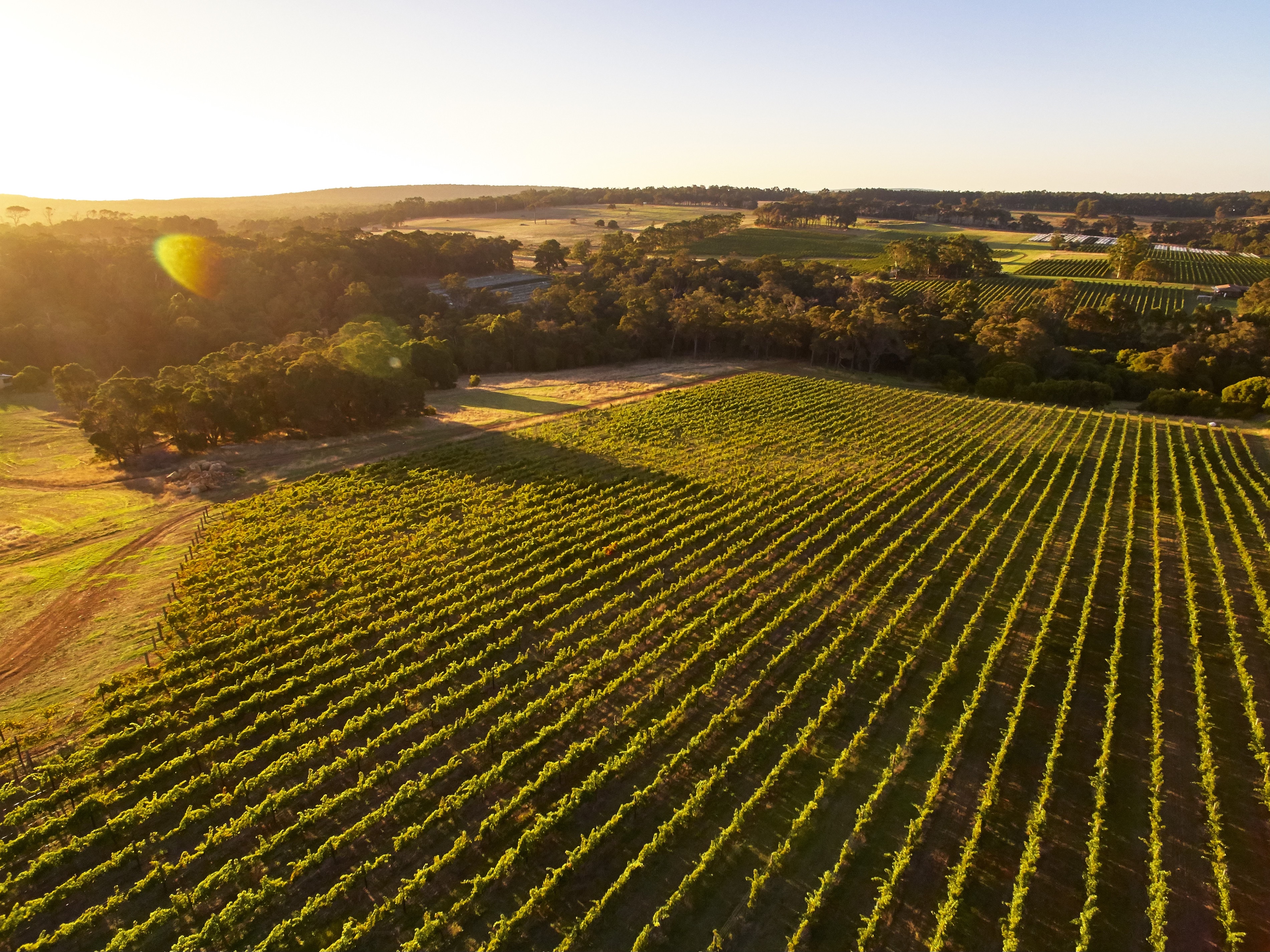 Experience the serenity of sprawling vineyards at sunset where world-class wineries offer exquisite culinary creations paired with exceptional wines perfect for any traveler seeking indulgence in Margaret River.