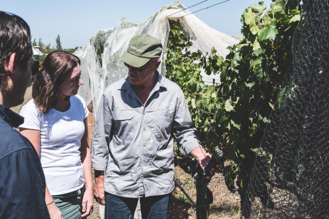 Experience the charm of Margaret River’s vineyards as expert guides share their passion for wine enhancing your journey through the region’s rich culinary landscape and celebrated wine heritage.