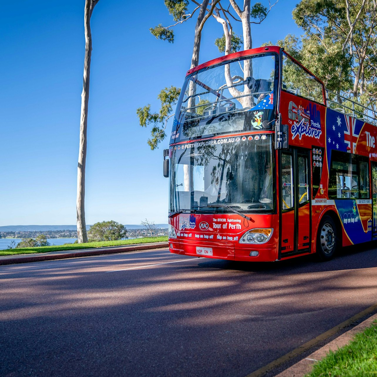 Perth & Kings Park: Hop-on Hop-off Bus Tour - Photo 1 of 6