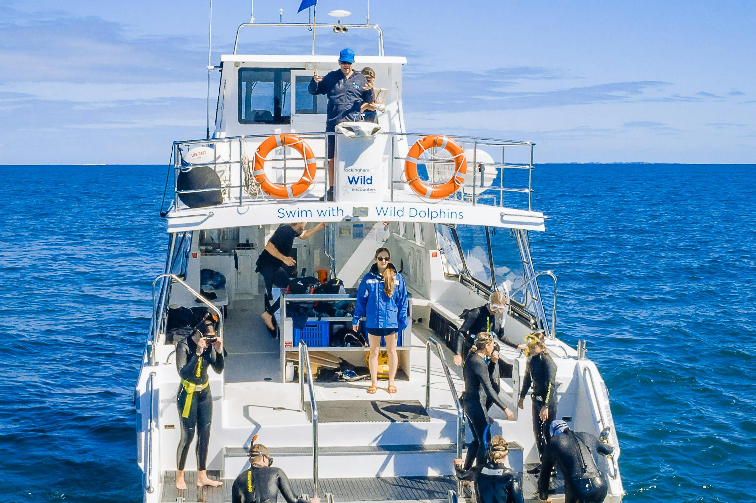 Perth: Guided Cruise + Swim with Wild Dolphins + Lunch - Photo 1 of 7