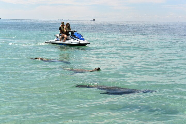 Perth Jet Ski Tour - Photo 1 of 6