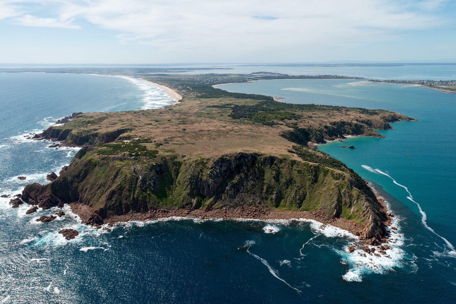 Experience breathtaking views of Phillip Island's rugged coastline and lush landscapes witnessing iconic sites like Cape Woolamai and Seal Rocks from a helicopter creating unforgettable memories from above.