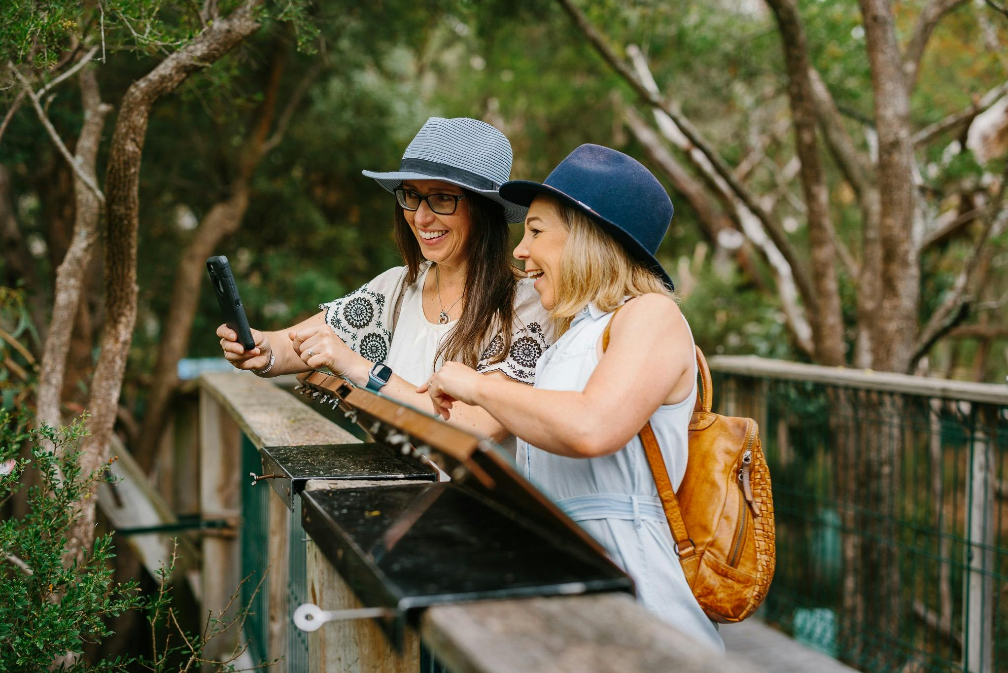 Phillip Island: Koala Conservation Reserve General Entry Ticket - Photo 1 of 11