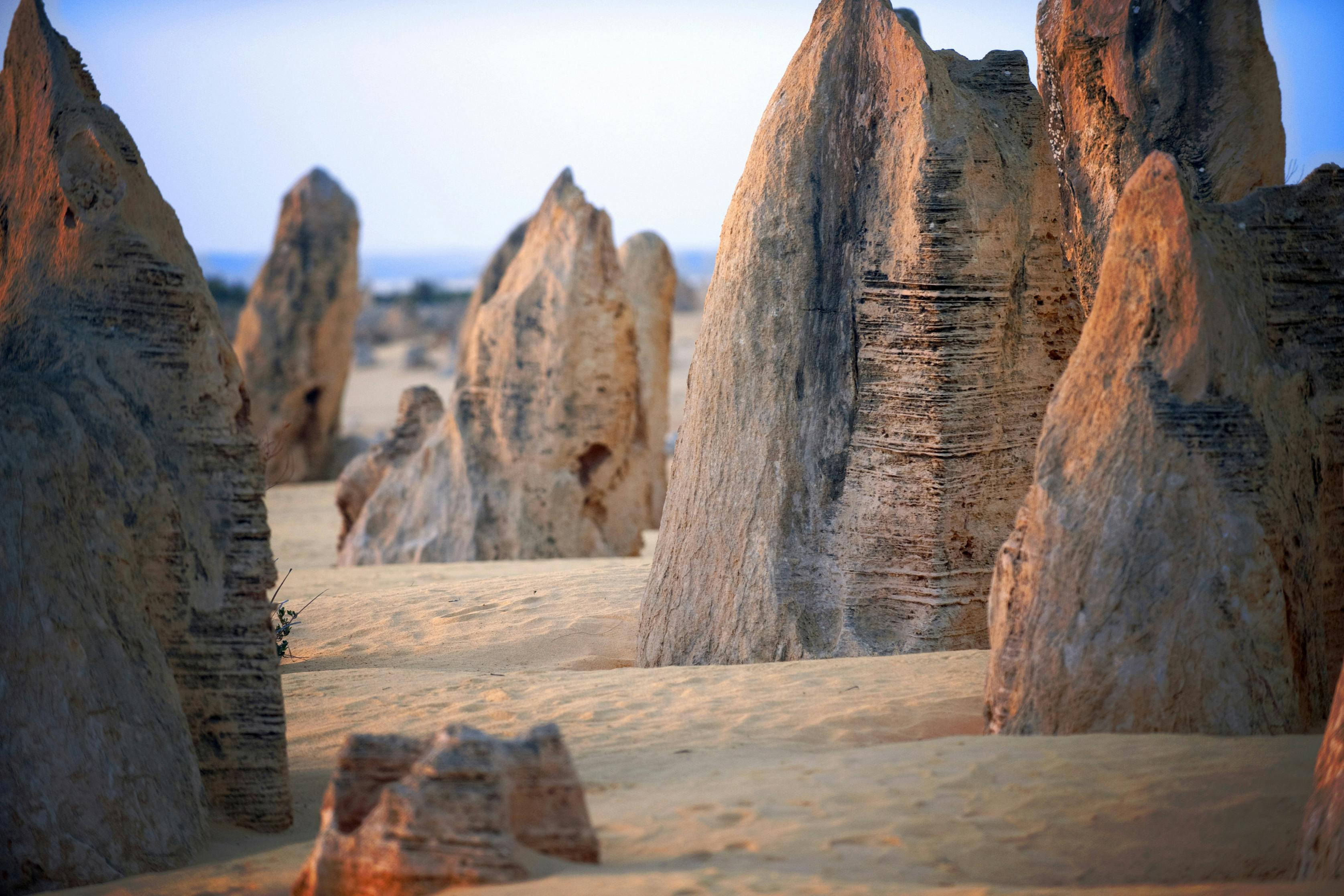 Pinnacles Desert, Yanchep & Swan Valley: Day Tour from Perth + Lunch - Photo 1 of 3