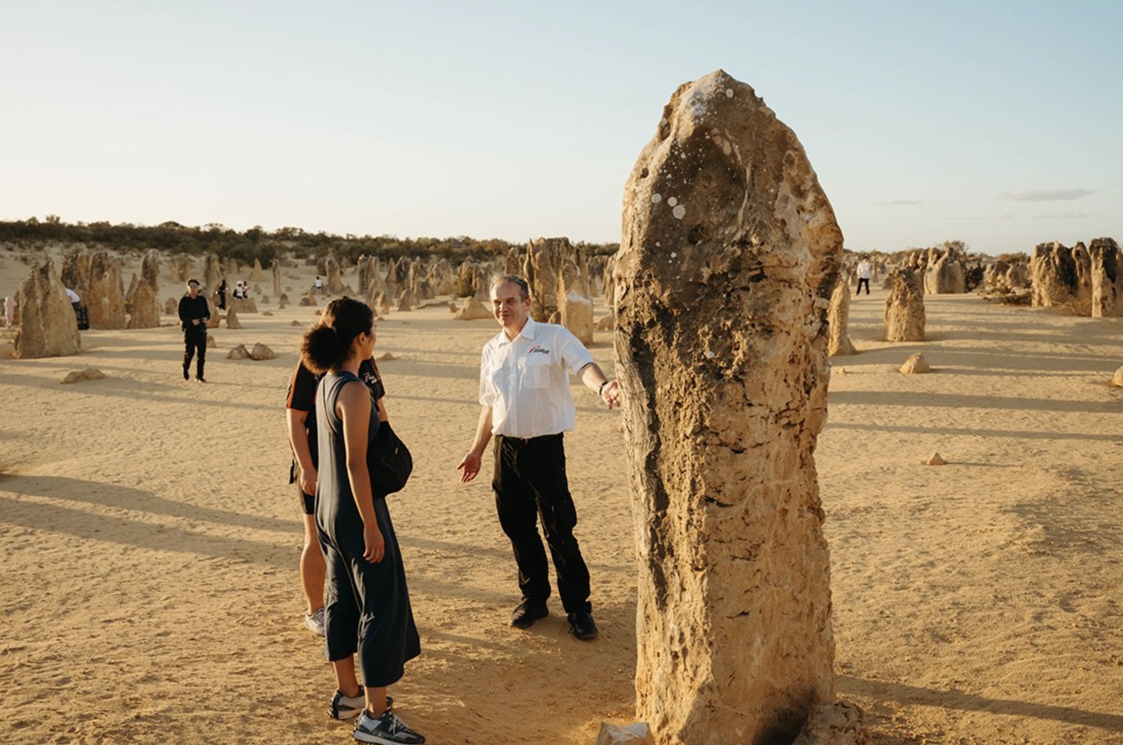 Full-Day Pinnacles Desert Adventure with Yanchep & Swan Valley - From Perth - Photo 1 of 10