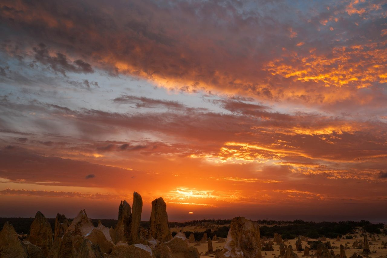 Pinnacles Sunset and Night-time Stargazing Tour with Dinner - Photo 1 of 5