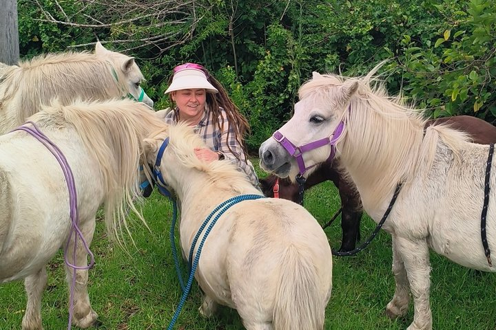 Pony Walking Adventure - Photo 1 of 10