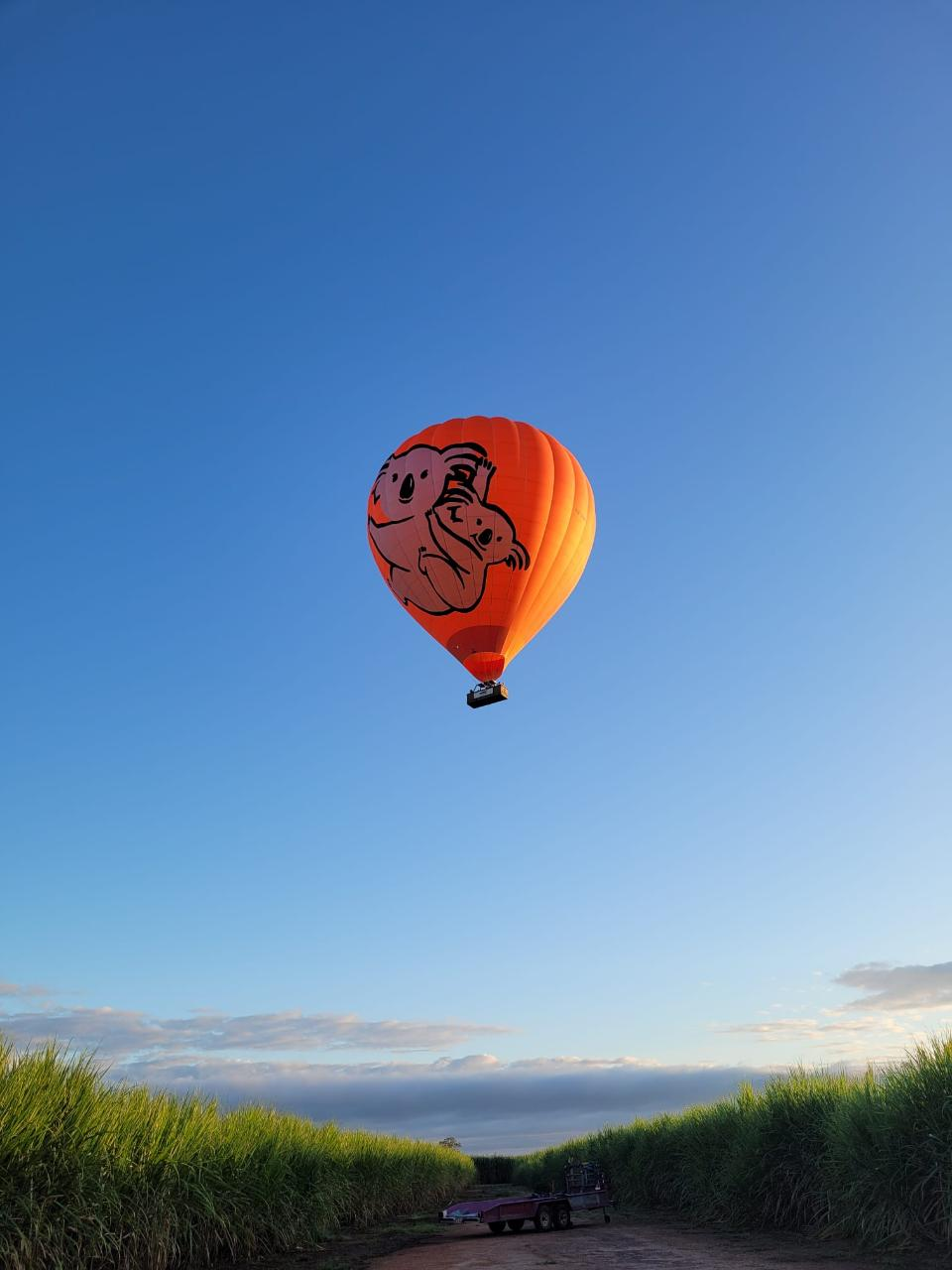 Port Douglas Luxury Hot Air Balloon experience  - Photo 1 of 14