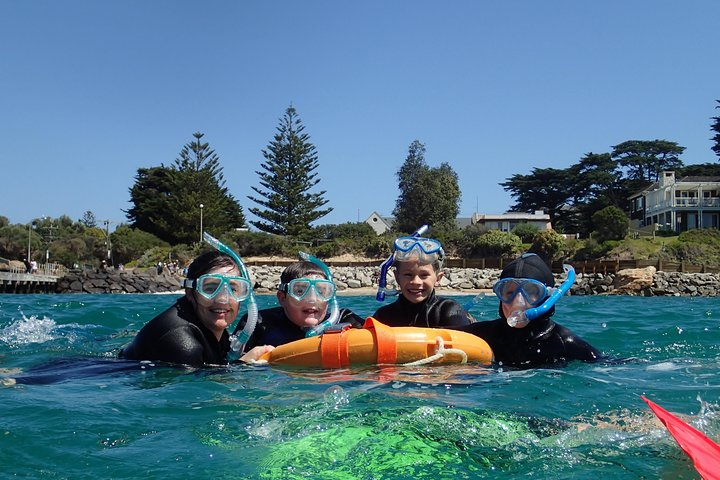 Port Phillip Bay Snorkeling with Sea Dragons - Photo 1 of 8