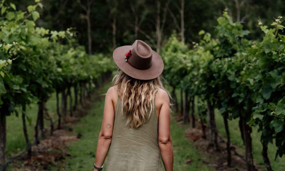 Premium Boutique Winery Tour - Brisbane Pickup (limited to 6 per tour) - Photo 1 of 13