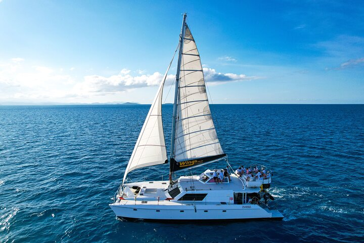 Wings III under sail home