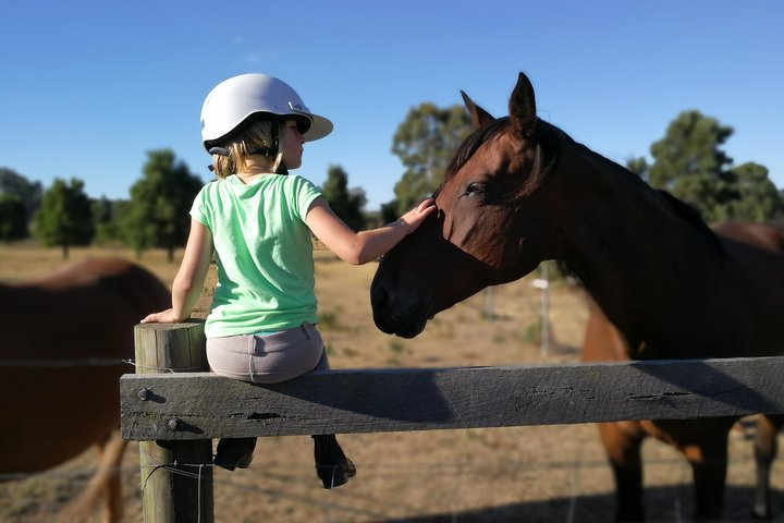 Experience the joy of bonding with friendly farm animals while exploring beautiful countryside landscapes. Engage in hands-on activities like petting horses and appreciating nature's wonders.