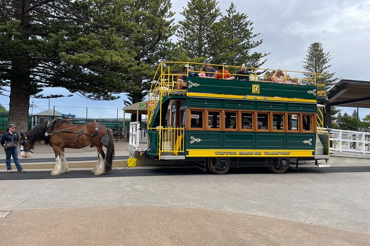 Horse Drawn Carriage
Victor Harbour 