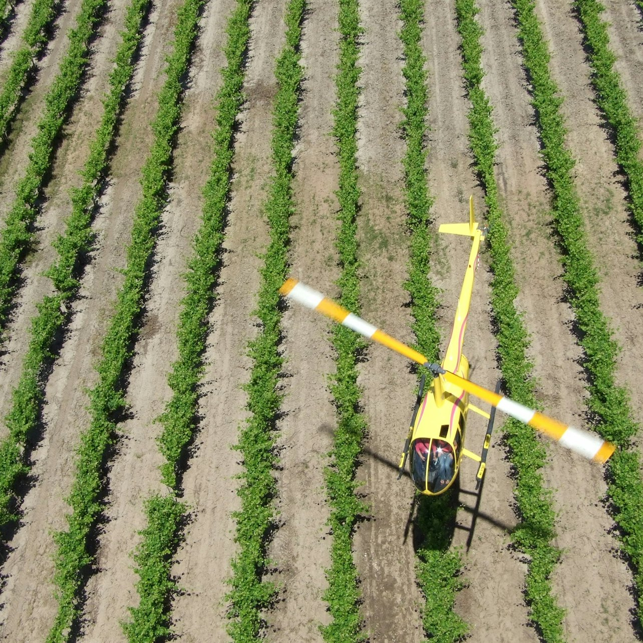 Southern Barossa: 10-Minute Private Helicopter Flight - Photo 1 of 3