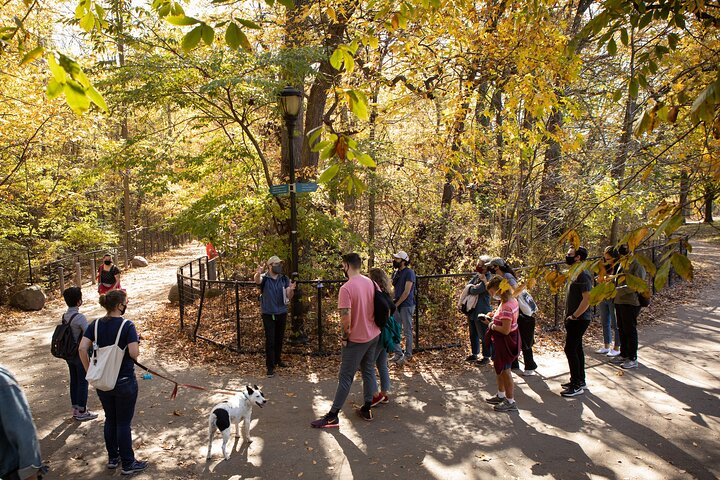 A stop in the Ravine, the largest forest in Brooklyn - Photo by Clay Williams