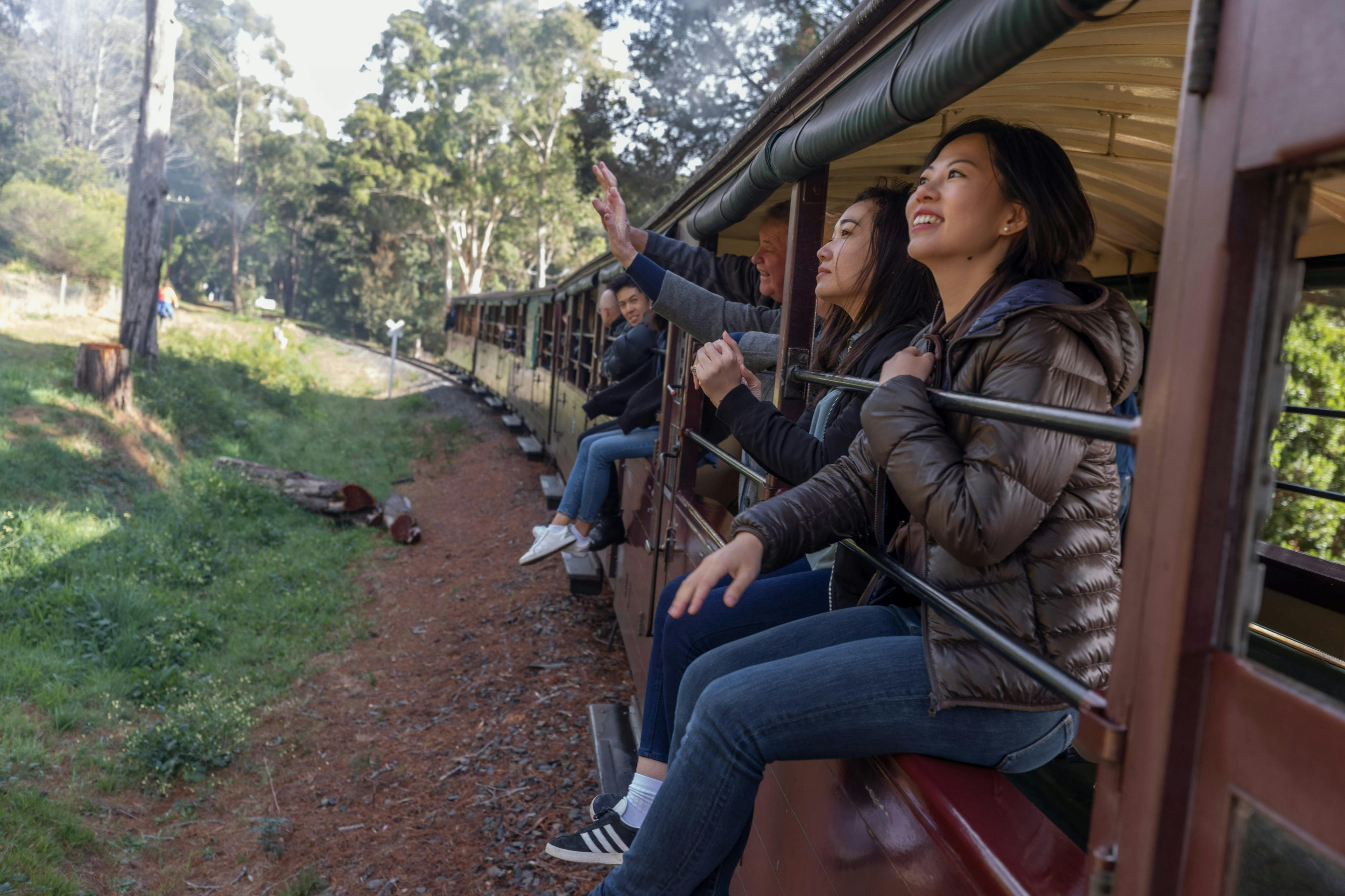 Billy Rides Puffing Billy Railway: Ride & Wildlife Tour + Transfers in Belgrave ...