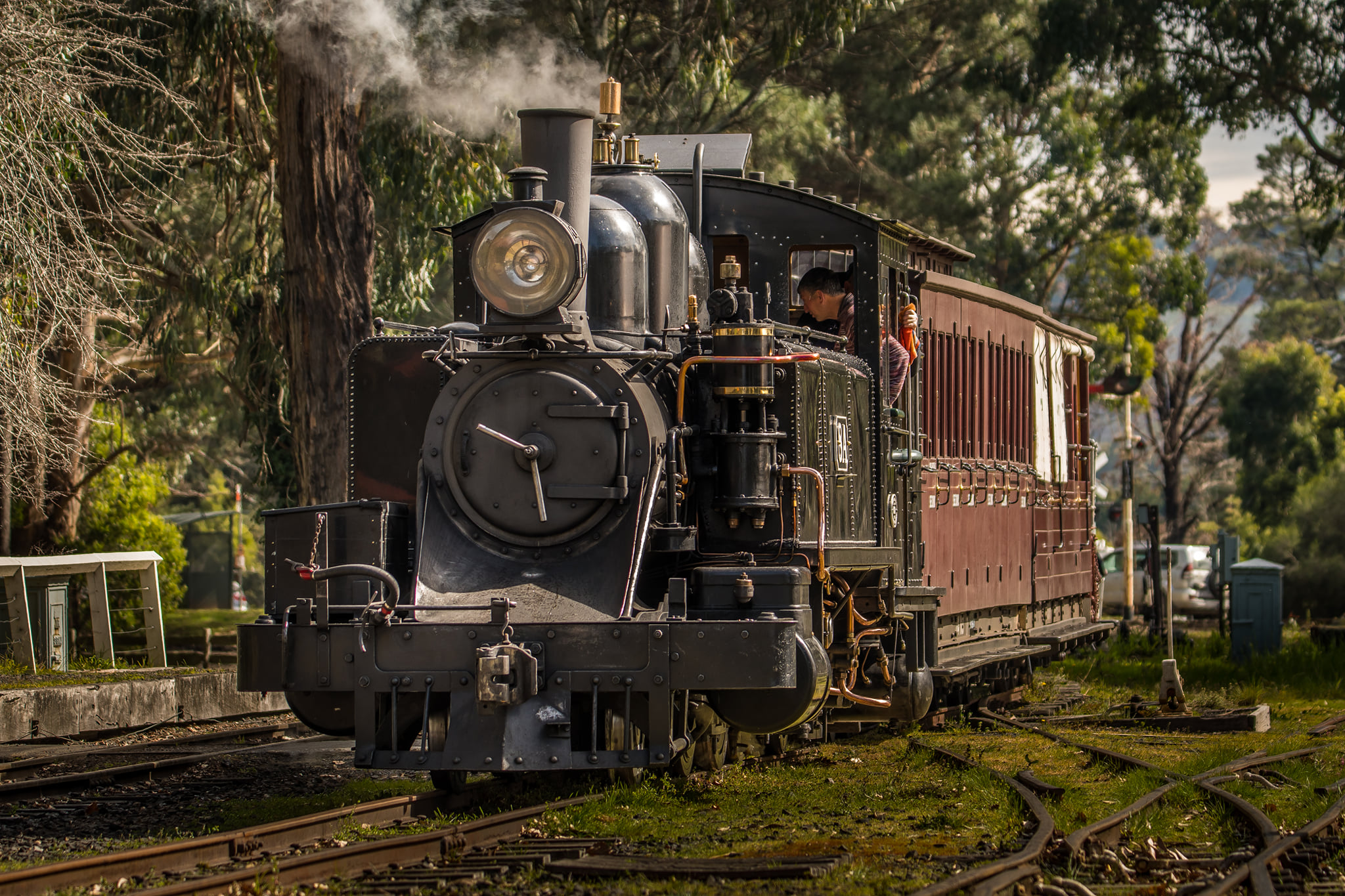 Experience the charm of the Dandenong Ranges aboard Puffing Billy as the steam train winds through lush forests offering a unique glimpse into Victoria's rich railway heritage.