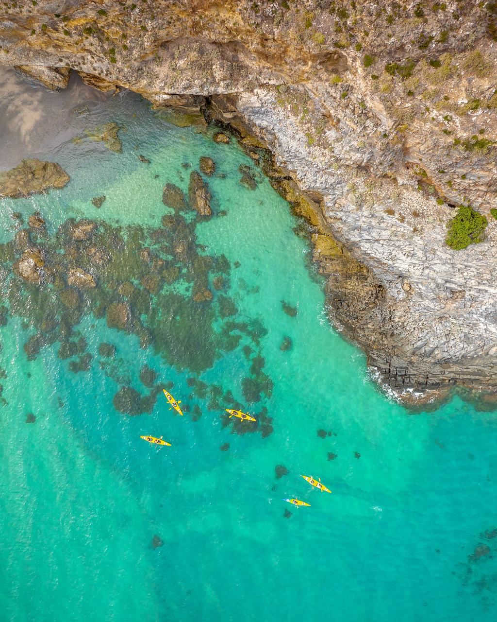 Rapid Bay Sea Kayaking Tour (up to 6 hours) - Photo 1 of 14