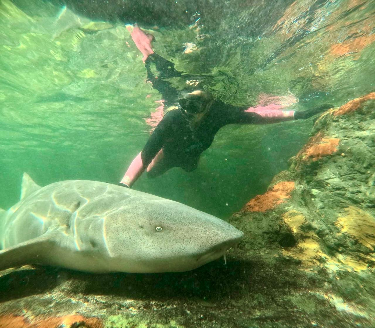 Reef Shark Snorkel (ages 12+) - Photo 1 of 6