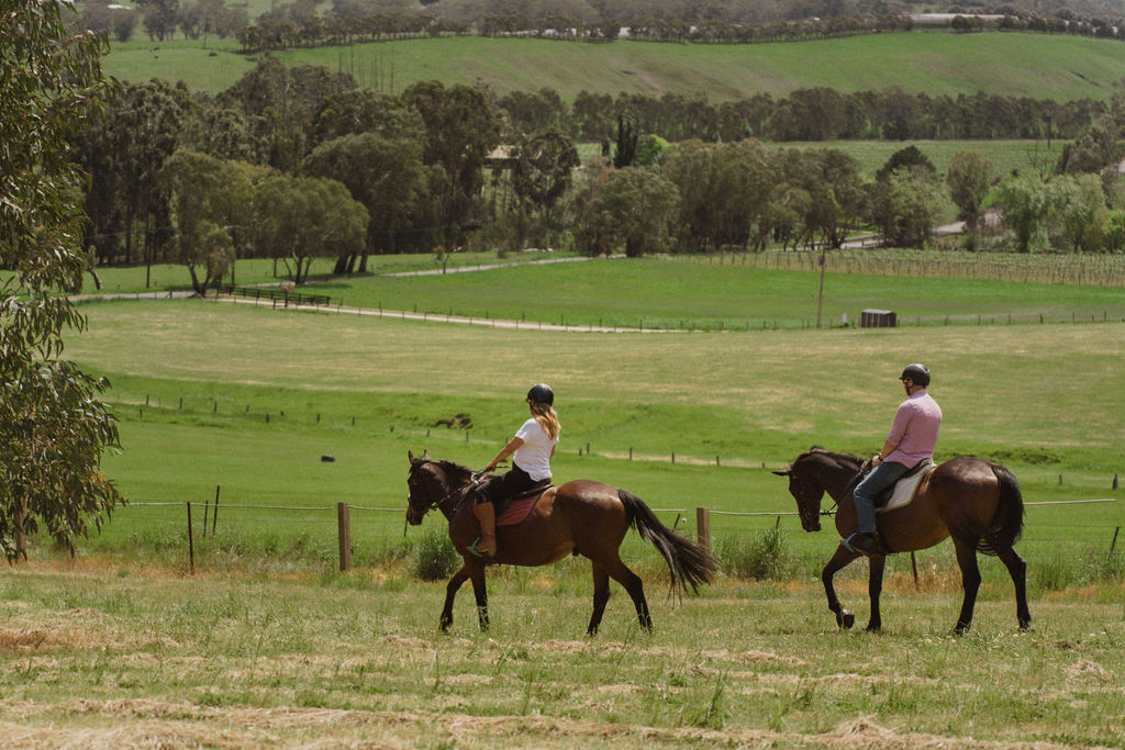 Romantic Private Horse Trail Ride Package at Petaluma (TC) - Photo 1 of 10