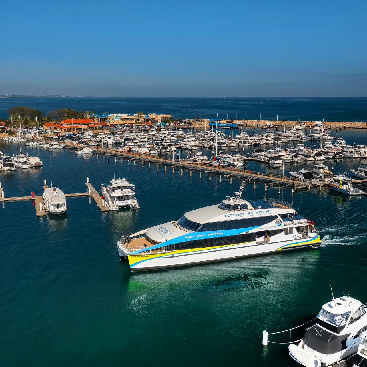 Rottnest Island: Roundtrip Ferry Transfer + Bike Rental - Photo 1 of 4