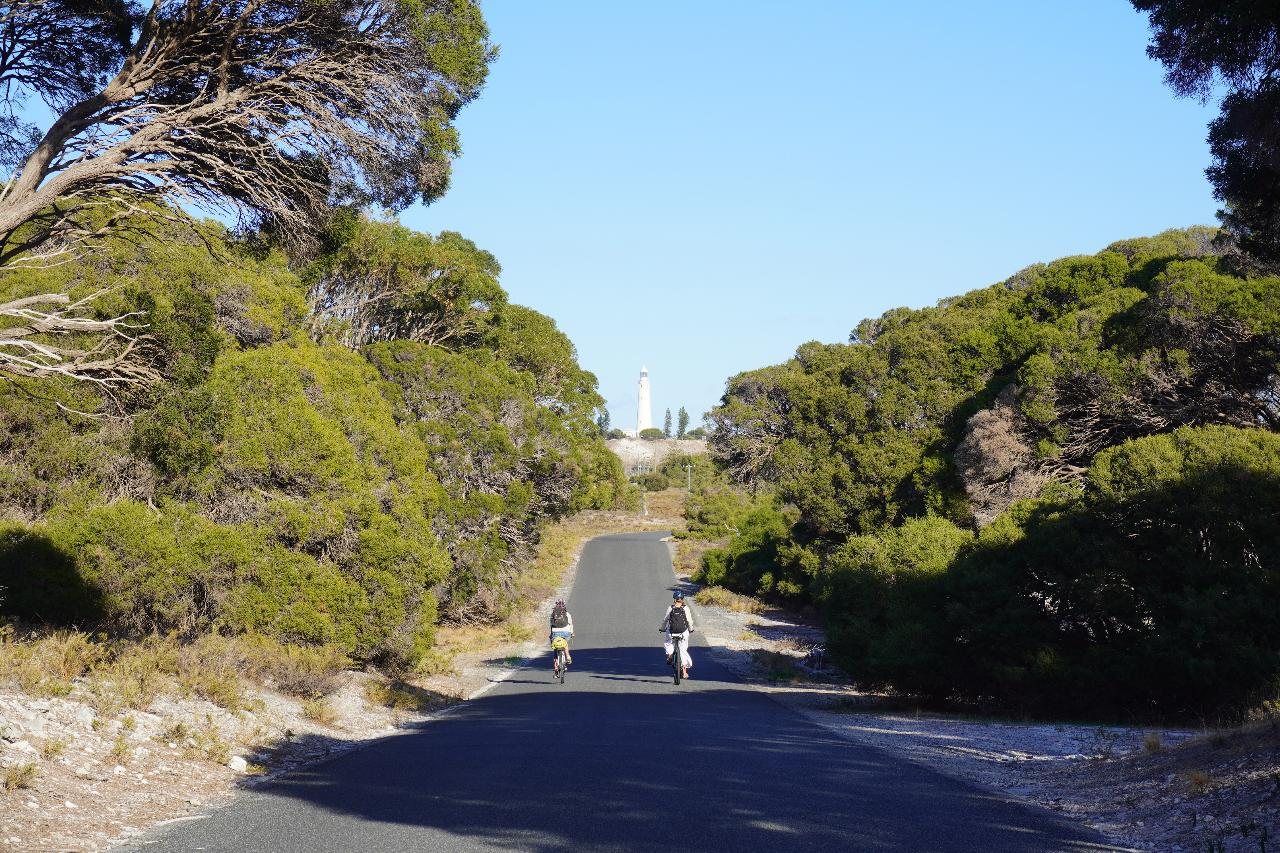 Same Day Return Ferry 0700 Depart Fremantle with SeaLink Adult Bike Hire - Photo 1 of 1