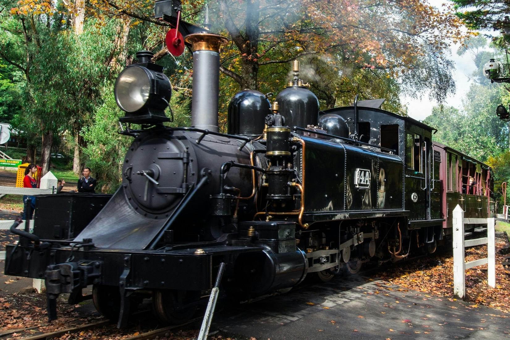 Scenic Bus Tour from Melbourne with Puffing Billy & Healesville Sanctuary - Photo 1 of 8