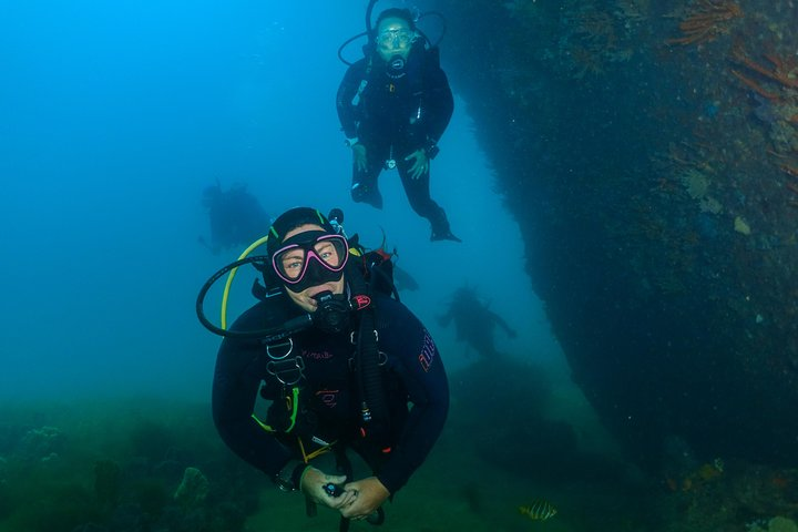 Scuba Dive The Beautiful Rottnest Island for Certified divers - Photo 1 of 10