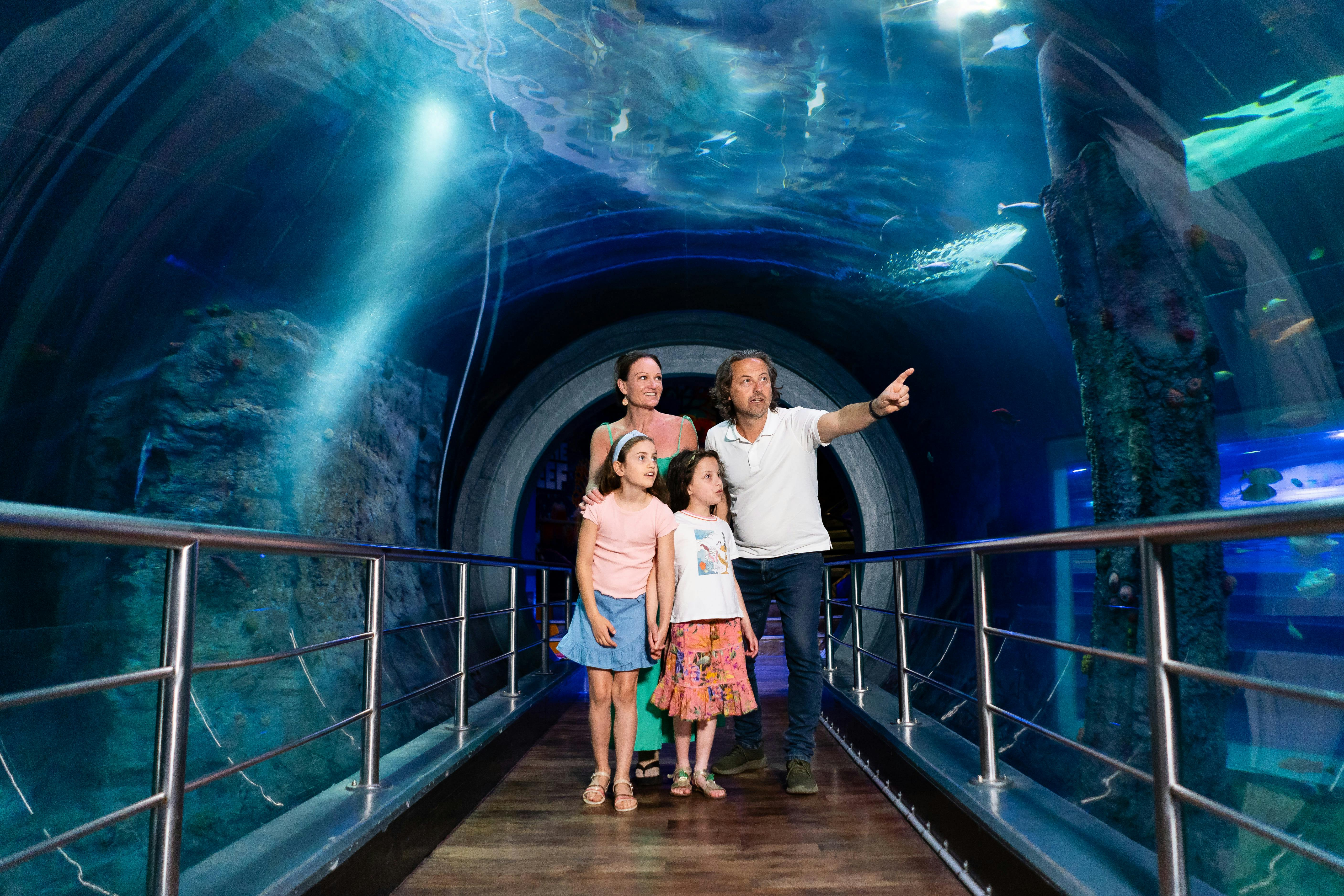 SEA LIFE Melbourne & LEGOLAND® Discovery Centre Combo Ticket - Photo 1 of 23
