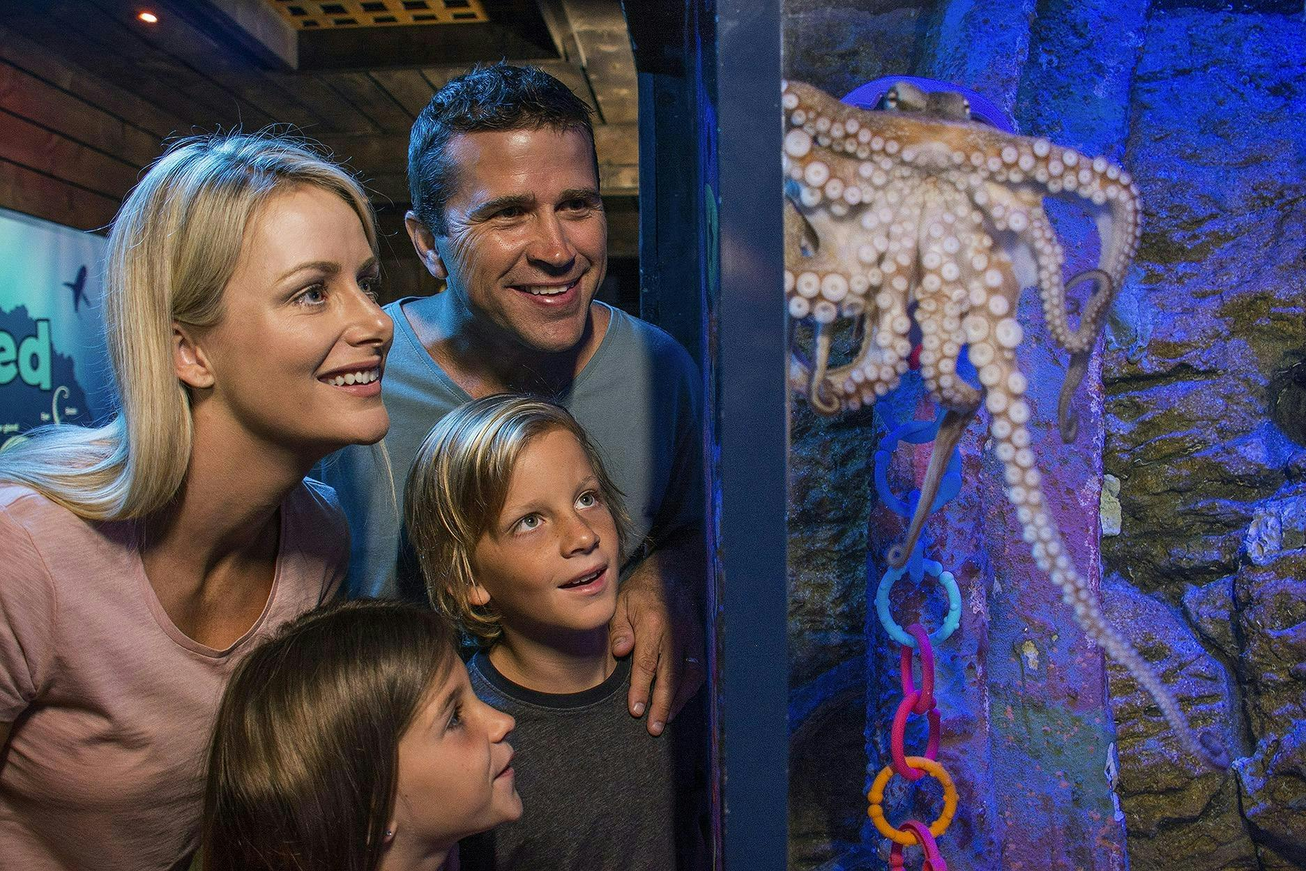 SEA LIFE Sunshine Coast Aquarium: Entry Ticket (B2B Product) - Photo 1 of 6