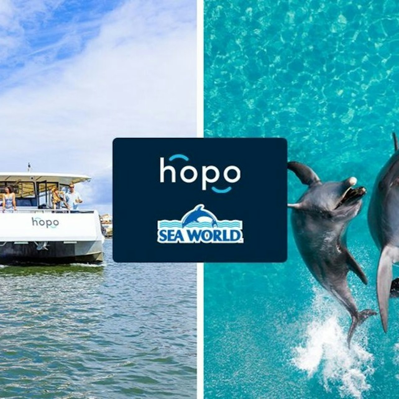 Sea World Gold Coast: Entry Ticket + Roundtrip Hopo Ferry Transfer - Photo 1 of 5