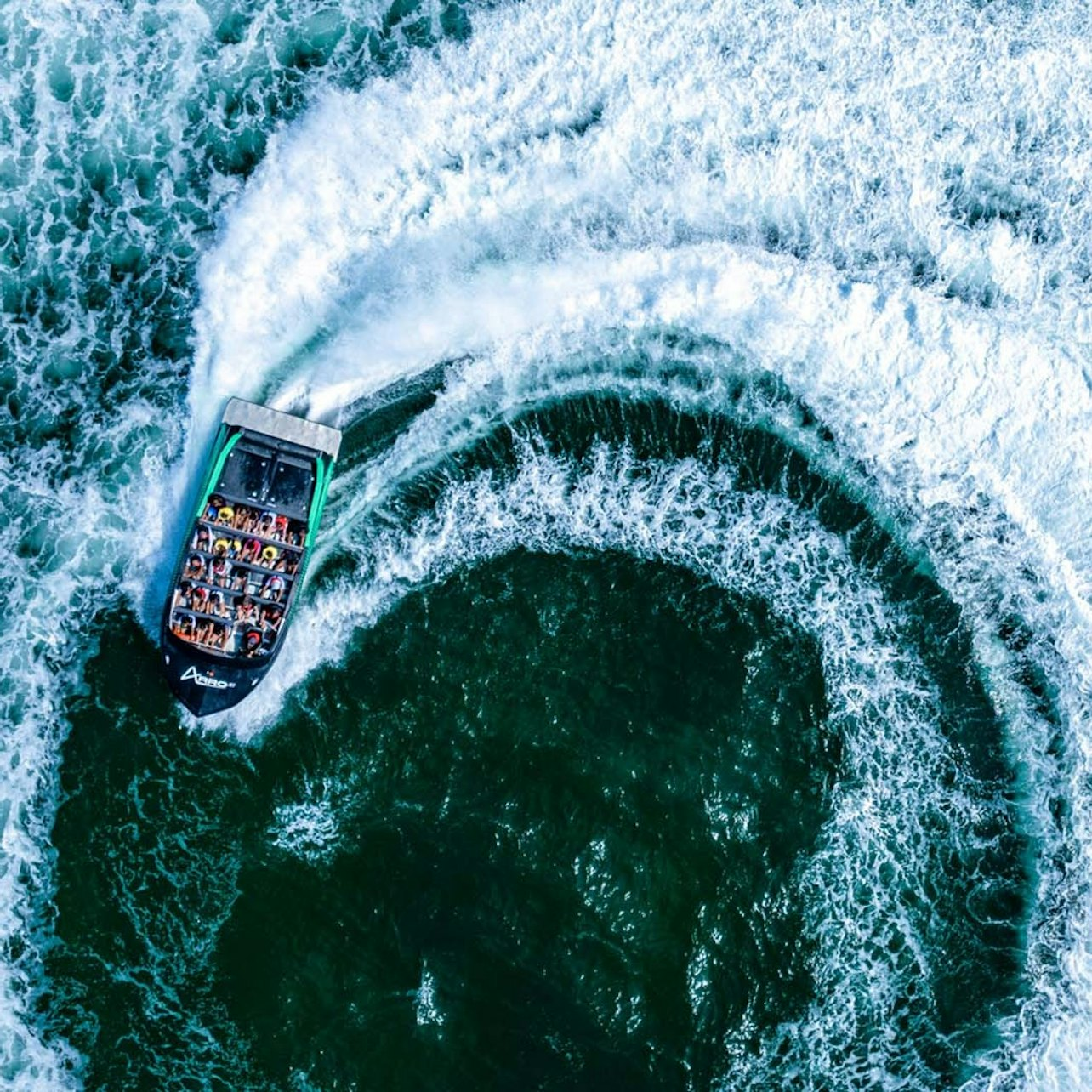 Sea World Gold Coast: 1-Day Entry Ticket + Jet Boat Ride - Photo 1 of 4