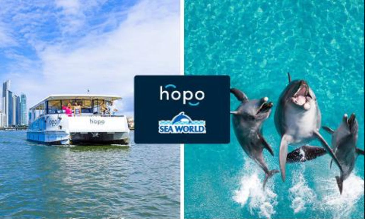 Sea World Gold Coast: Entry Ticket + Roundtrip Ferry - Photo 1 of 5