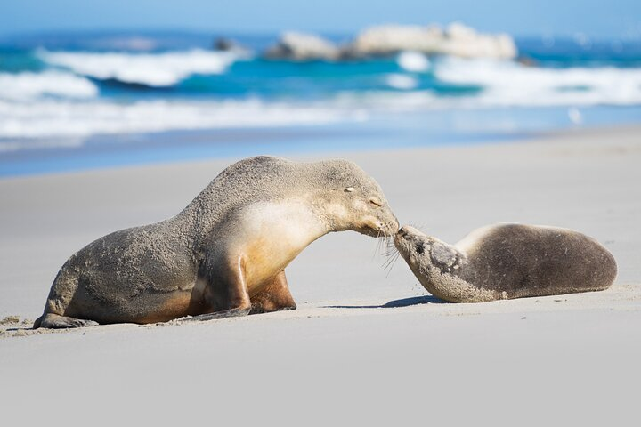 A Taste Of Kangaroo Island - Photo 1 of 7