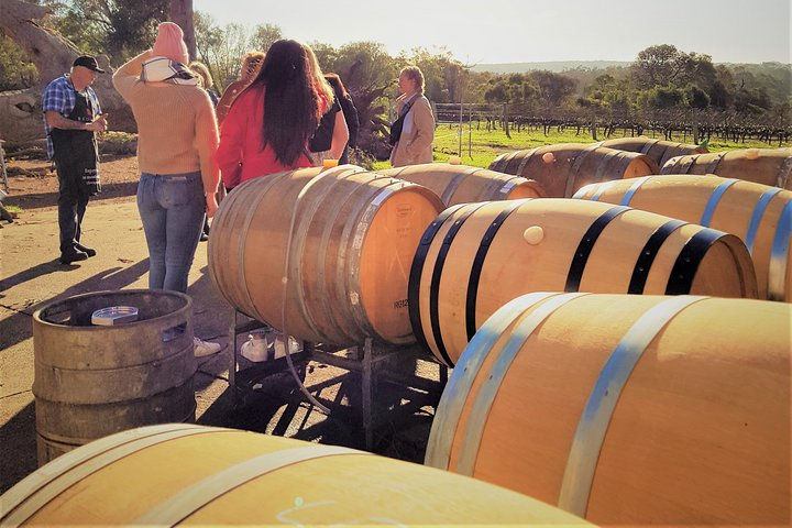 Explore the charm of Margaret River with a winery tour sampling exquisite wines surrounded by scenic vineyards and the rich aroma of oak barrels enhancing your travel experience.
