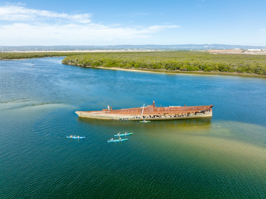 비밀 돌고래 보호구역과 배의 묘지 카약 투어 - Photo 1 of 5