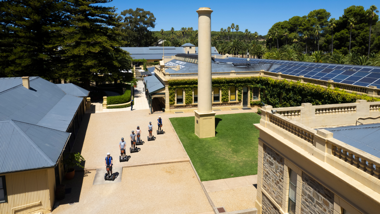 Seppeltsfield Segway Vineyard Tour - Photo 1 of 8