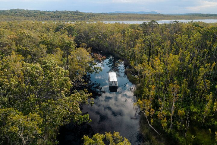 Serenity Cruise to Australia's Everglades - Photo 1 of 12