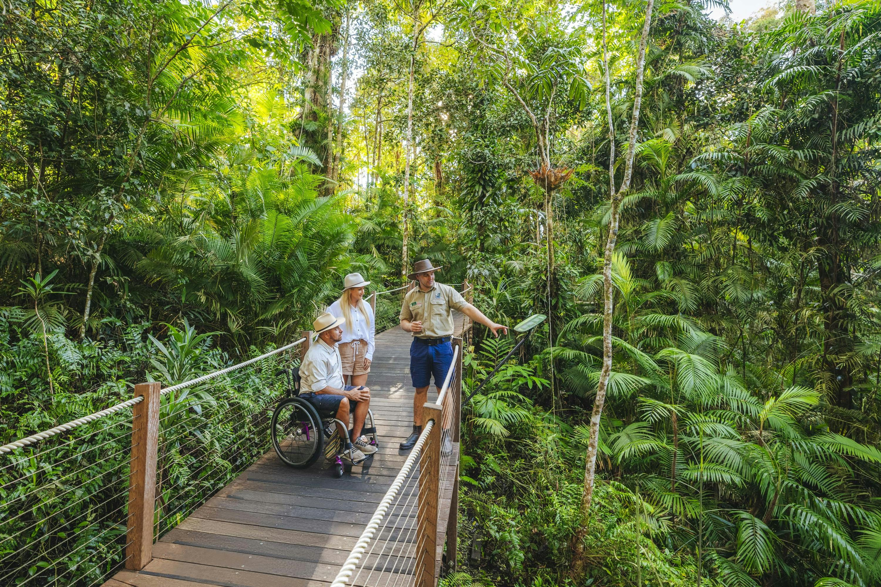 Skyrail Rainforest Cableway & Kuranda Scenic Railway: Entry Ticket + Skyrail Use - Photo 1 of 6