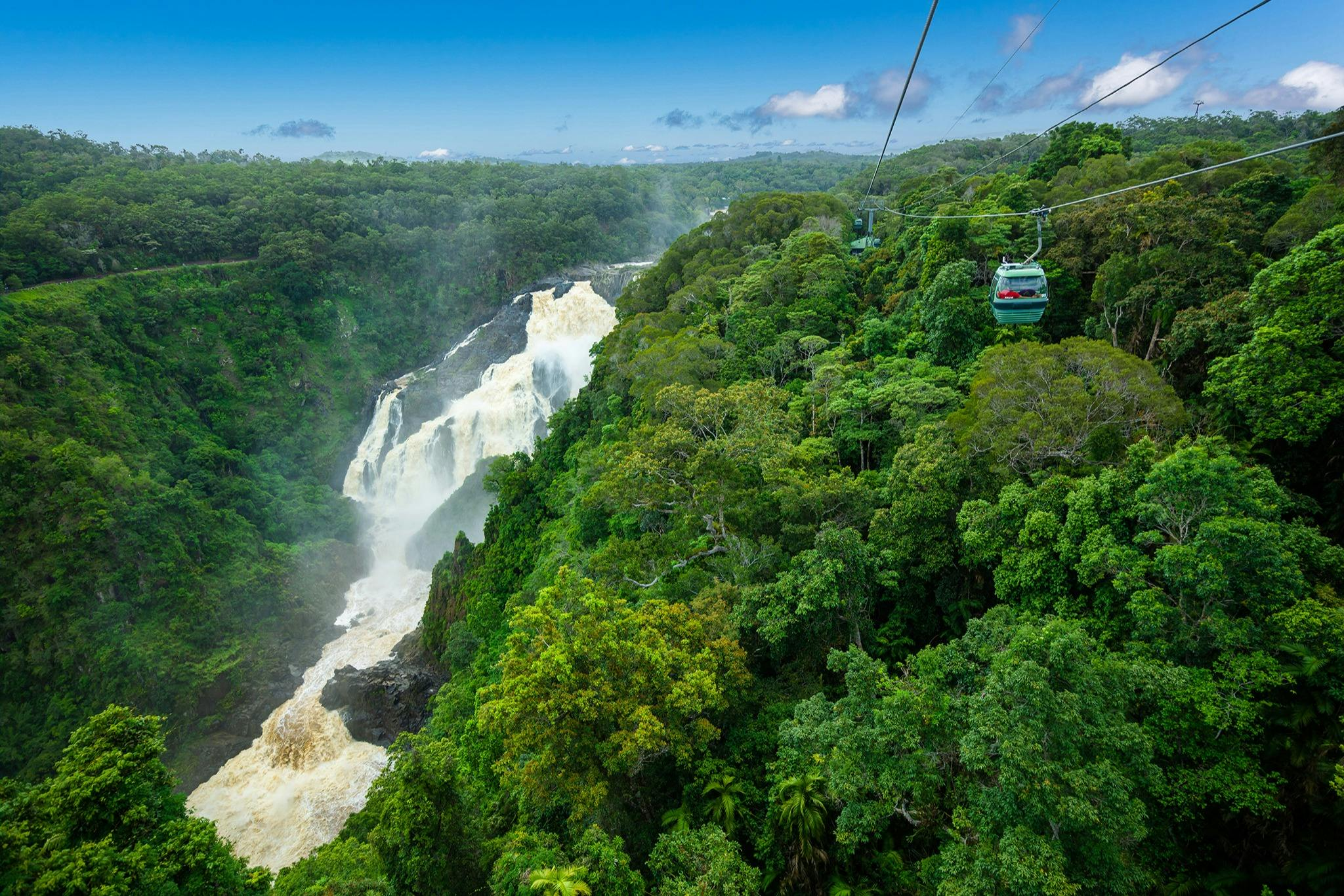 Skyrail Rainforest Cableway & Kuranda Scenic Railway: Skyrail Up + Skyrail Down - Photo 1 of 5