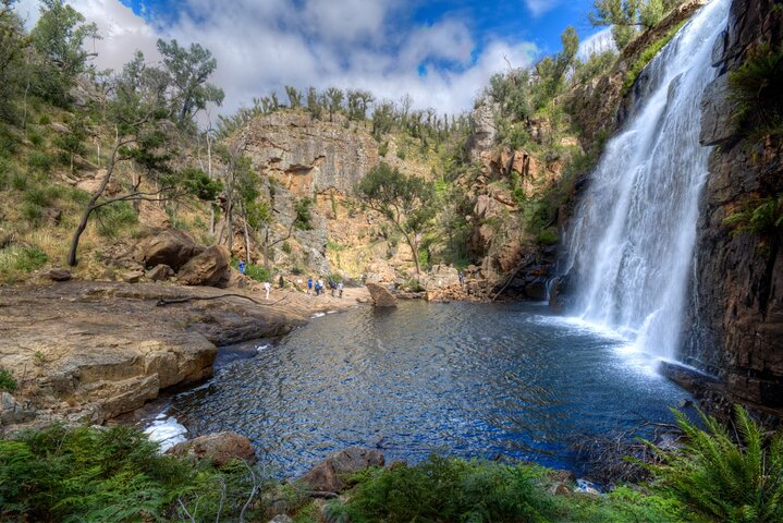 Small-Group Grampians Great Wildlife Escape Day Trip with Hiking - Photo 1 of 19