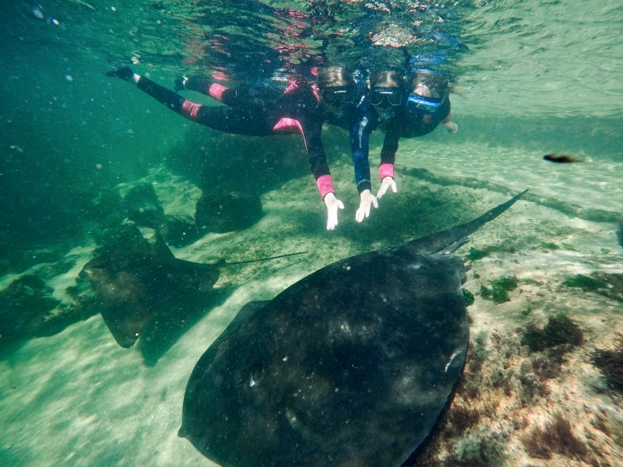 Coastal Currents Snorkel (ages 12+) - Photo 1 of 7