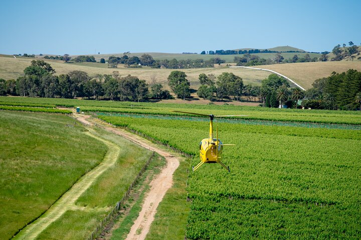 Southern Barossa: 10-Minute Helicopter Flight - Photo 1 of 3