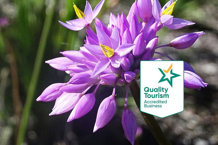 Spring Wildflower Private Day Tours - Photo 1 of 25